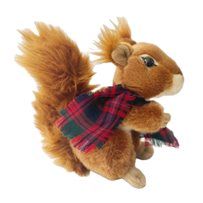 Squirrel in Tartan